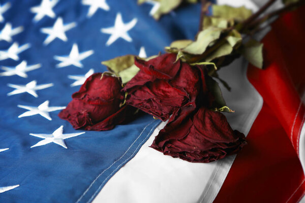 Dried roses on American national flag