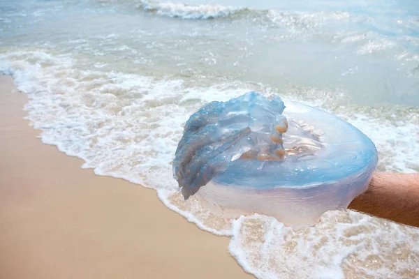 Large jellyfish in the man's hand. — Stock Photo, Image