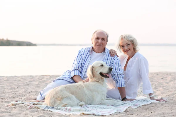 Senior couple and dog sitting on plaid — Stock Photo, Image