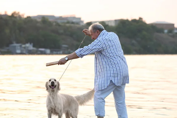 Senior Mann trainiert Hund — Stockfoto