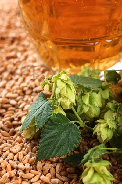 Hopfen und Glas frisches Bier — Stockfoto