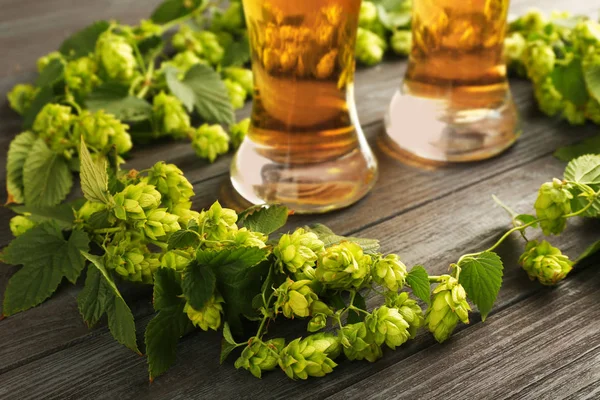 Soğuk bir bira ile gözlük