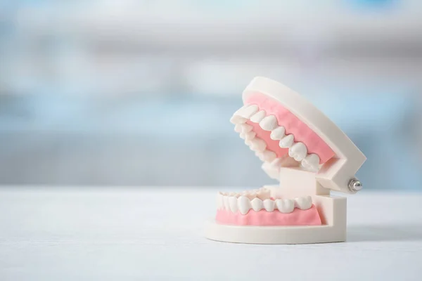 Artificial jaw model — Stock Photo, Image