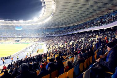 Futbol maçı izlerken hayranları  