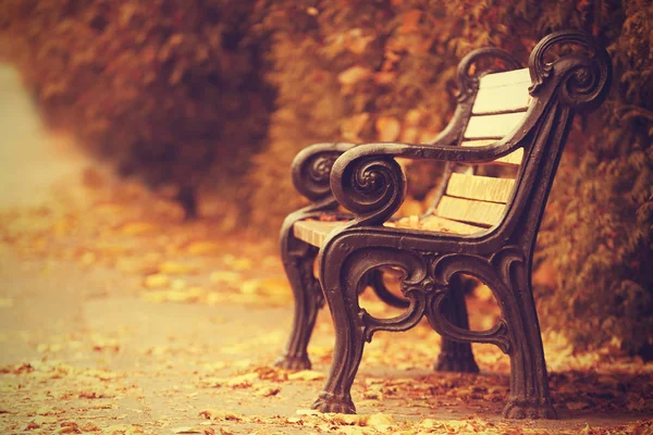 Banc vintage dans le parc — Photo