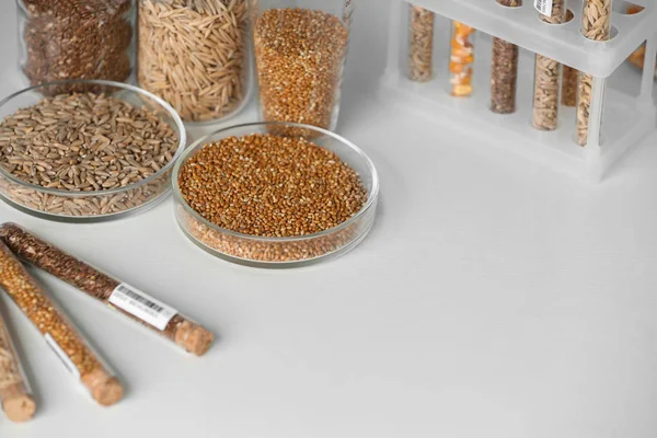 Cereais em artigos de vidro de laboratório — Fotografia de Stock