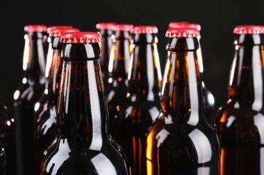 Alkol bira şişesi 