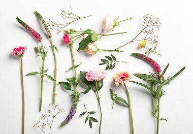 güzel taze çiçekler 