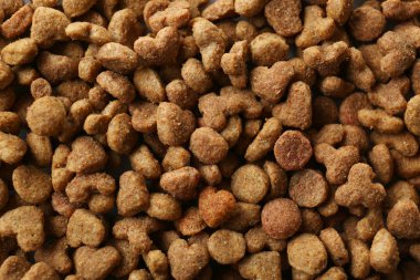 hayvanlar için Kuru gıda 