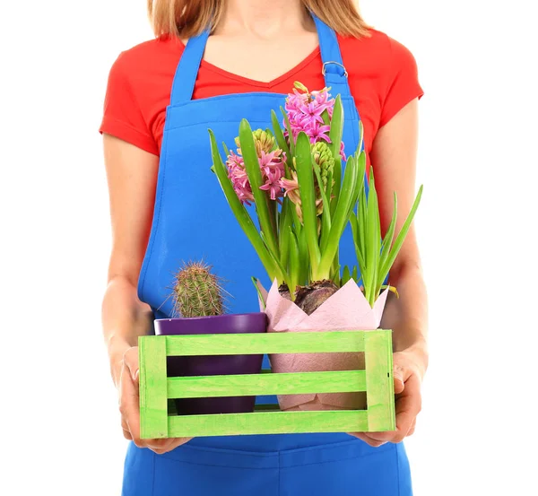 Feminino florista segurando caixa com plantas da casa — Fotografia de Stock