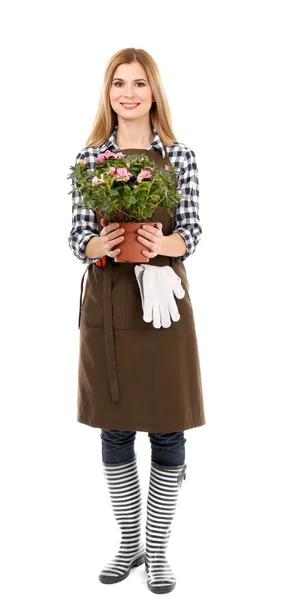 Beautiful female florist \ — Stock Photo, Image
