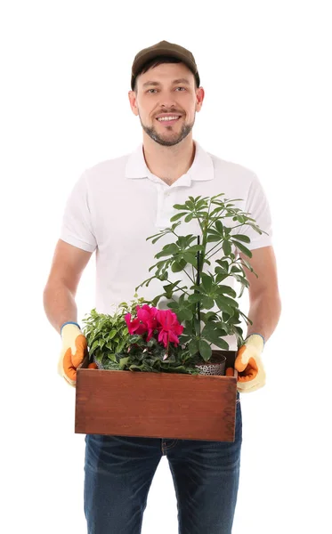 Fiorista maschio azienda piante da casa — Foto Stock