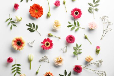 taze renkli çiçekler