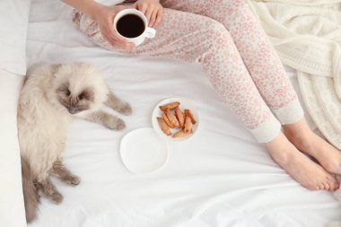 şirin kedi olan kadın 