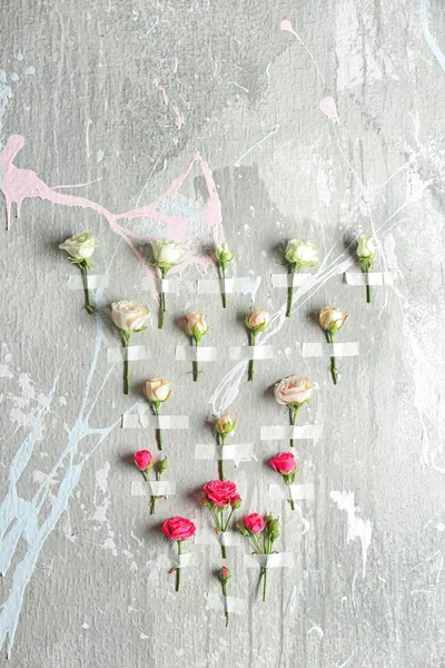 Beautiful flowers taped to color wall — Stock Photo, Image