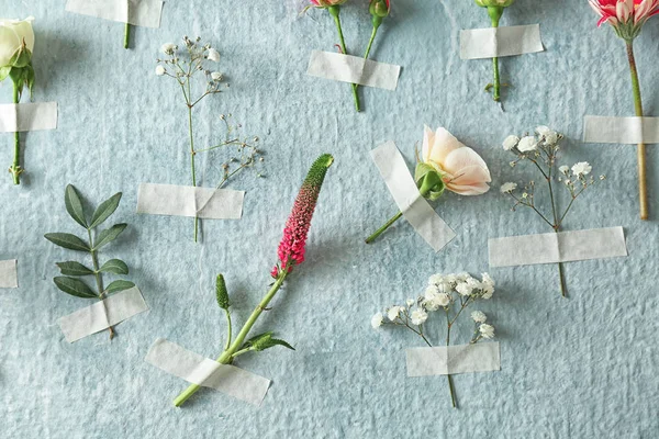 Красивые цветы, приклеенные к цветной стене — стоковое фото
