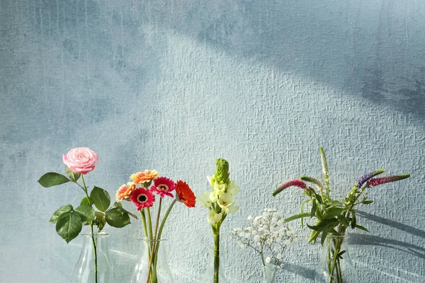 Schöne Blumen in Glasvasen — Stockfoto