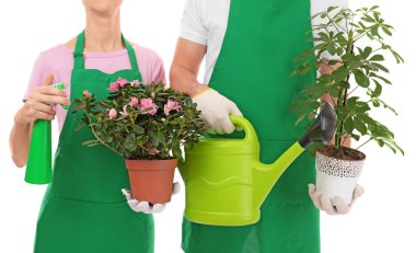 Karanfiller tutan iki çiçekçi 