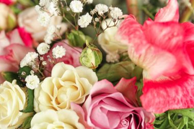 güzel taze çiçekler 