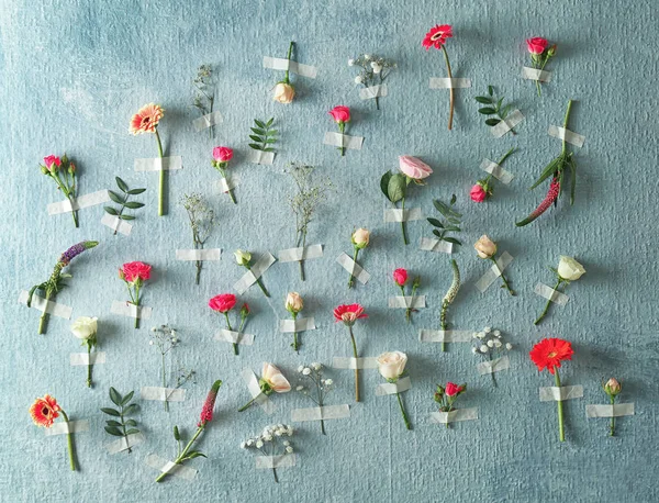 Piękne kwiaty, klejone do ściany kolor — Zdjęcie stockowe