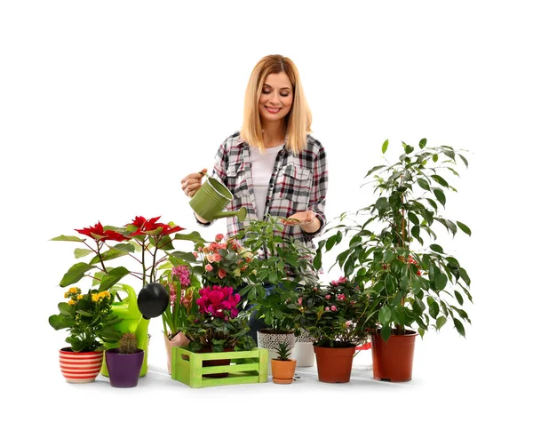 Beautiful female florist \ — Stock Photo, Image