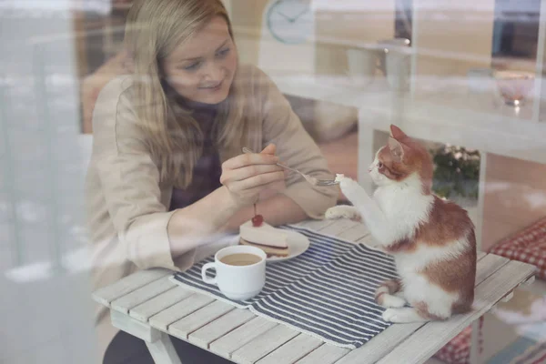 Junge Frau sitzt am Tisch im Katzencafé, Blick von außen — Stockfoto