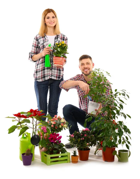 Deux fleuristes tenant des plantes maison — Photo