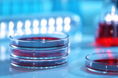 Kan ile kimya cam ürünleri 