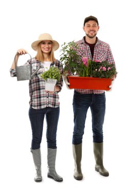 Karanfiller tutan iki çiçekçi 