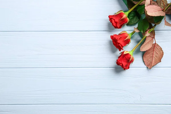 Strauß schöner roter Rosen — Stockfoto