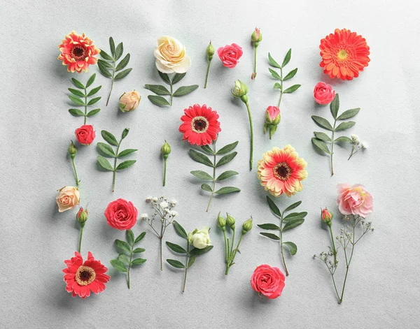 Flores coloridas frescas — Fotografia de Stock