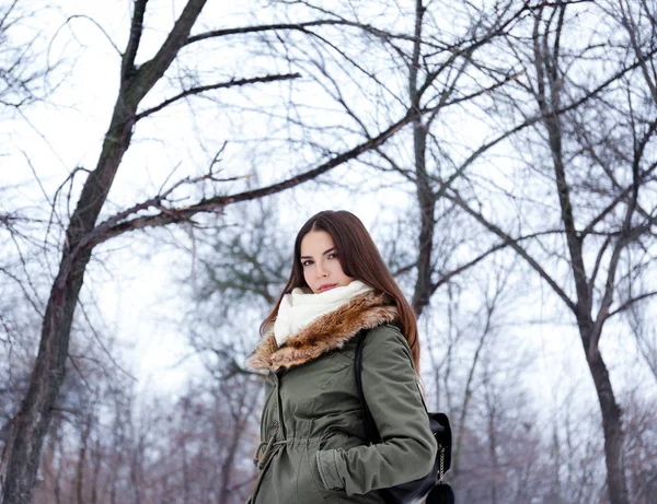 Jovem mulher bonita no parque de inverno — Fotografia de Stock