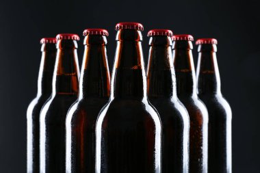 Alkol bira şişesi 