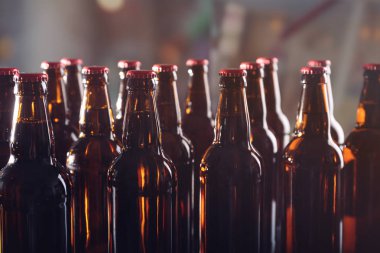 Alkol bira şişesi 