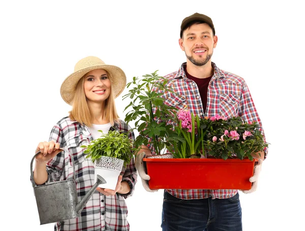 Two florists holding house plants