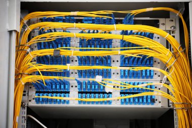 View of open cabinet with wires in server room, closeup clipart