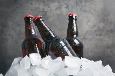 bira buz içinde 