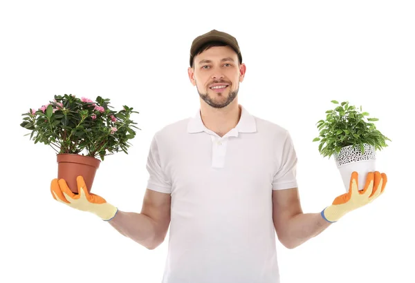 Mužské květinářství drží pokojové rostliny — Stock fotografie