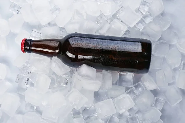 Fles van koud bier — Stockfoto