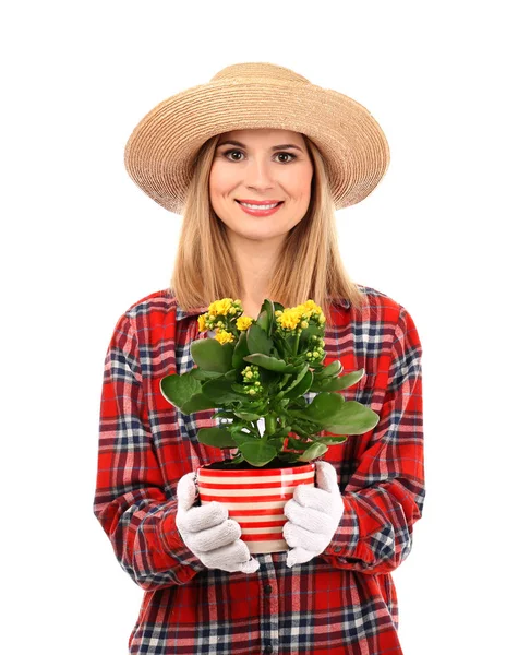 Beautiful female florist \ — Stock Photo, Image