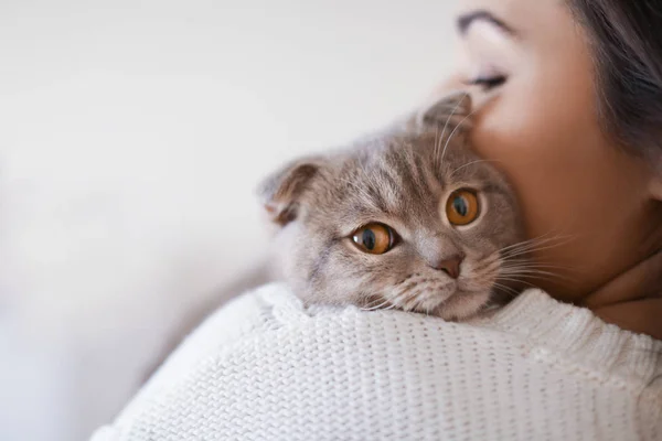 Schöne junge Frau mit süßer Katze — Stockfoto