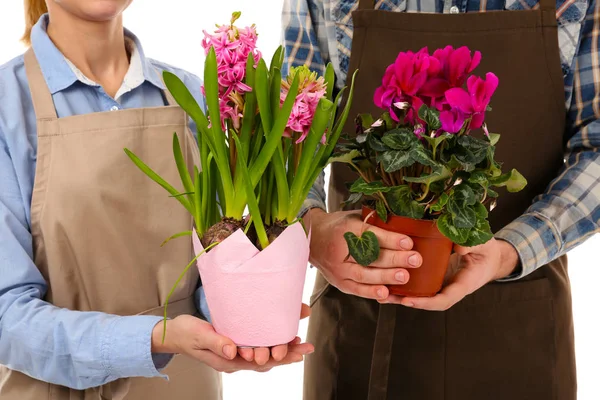 Two florists holding house plants — Stock Photo, Image