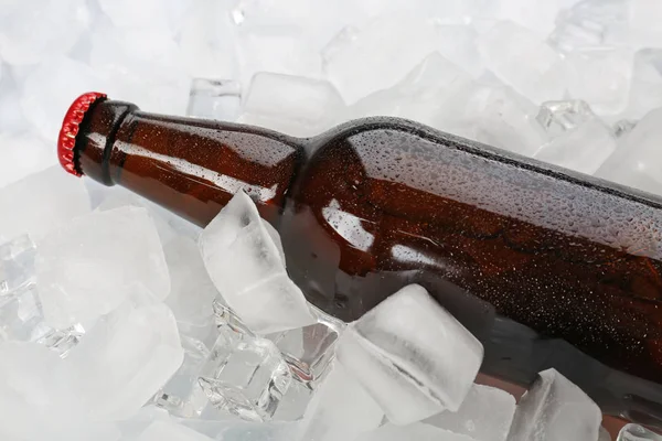 Bottle of cold beer — Stock Photo, Image