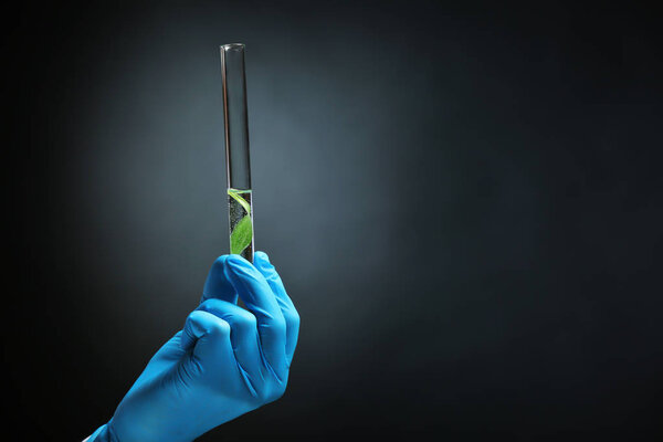 Перчаточная пробирка 