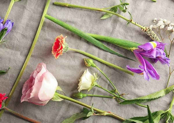 Schöne frische Blumen — Stockfoto