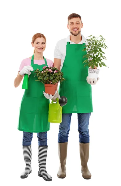 Zwei Floristen mit Zimmerpflanzen — Stockfoto