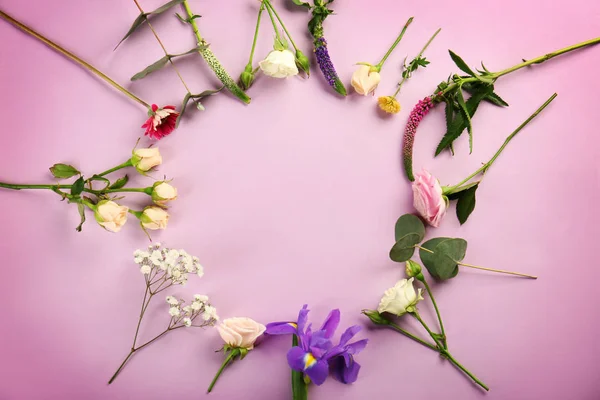 Beautiful fresh flowers — Stock Photo, Image