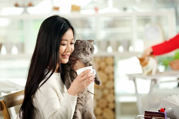 Счастливые женщины отдыхают в кошачьем кафе — стоковое фото