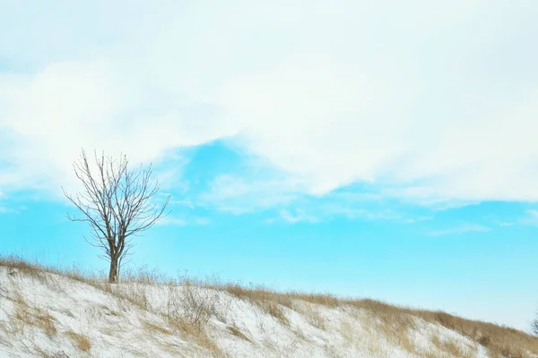 Linda paisagem de inverno — Fotografia de Stock