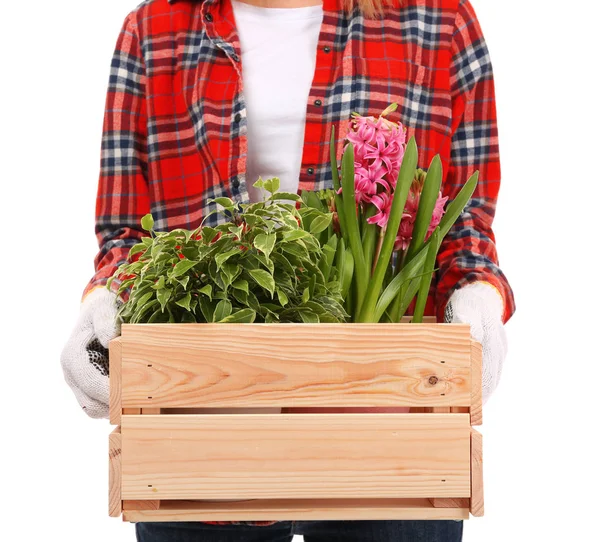 Female florist holding wooden box with house plants — Stock Photo, Image